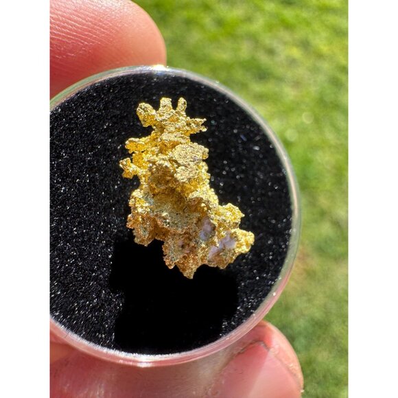California Gold Crystal - 1.74 grams - Picture 5 of 11